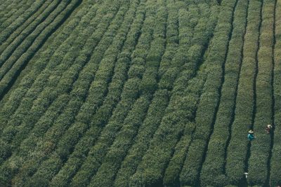 Dolores veniam nisi consequatur id fugiat